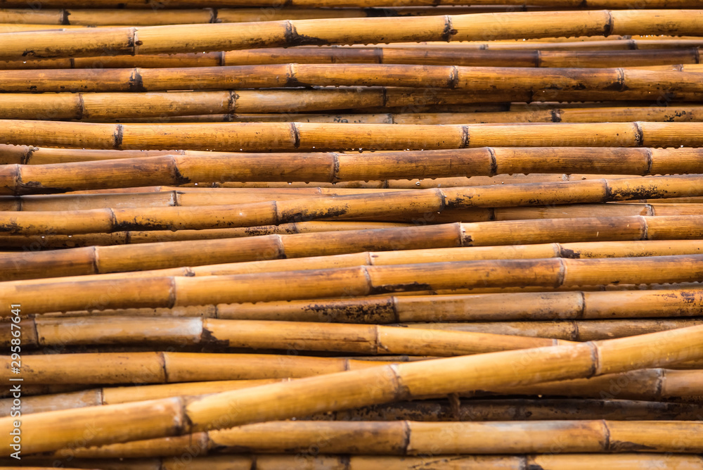 Wet yellow bamboo wall background with water drops. Wet yellow bamboo wall background with water drops.