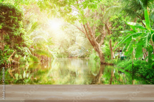 Empty wooden desk of free space and spring time with Morning sun light with wind blowing leaves in the lake park,Template mock up for display montages of product.