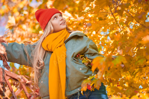 golden autumn leaves