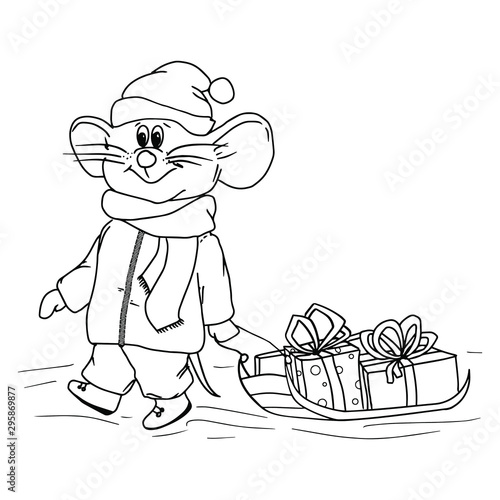 Illustration of a mouse with slad and gifts, dressed for winter, in color and black and white, perfect for children`s coloring book - Vector
