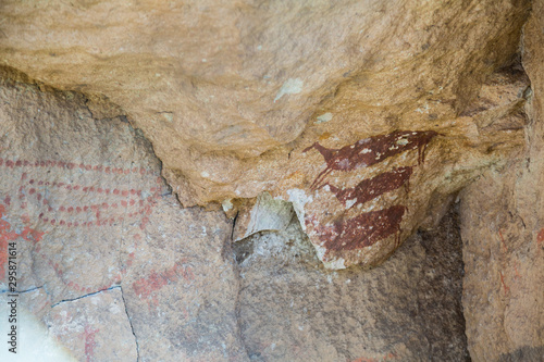 Cave paintings in Cueva de las Manos