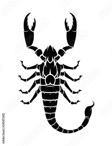 Vector black silhouette of a Scorpion © lumyaisweet