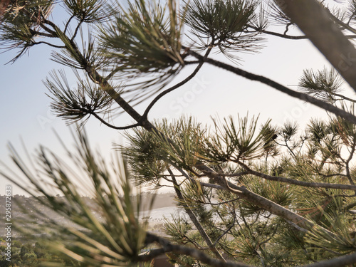 La Jolla views from a hill top