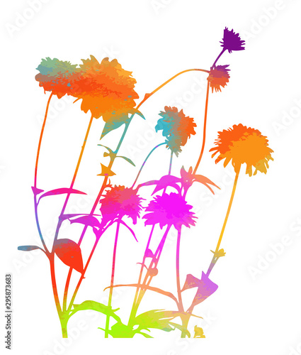 Multicolored flower heads. Vector illustration