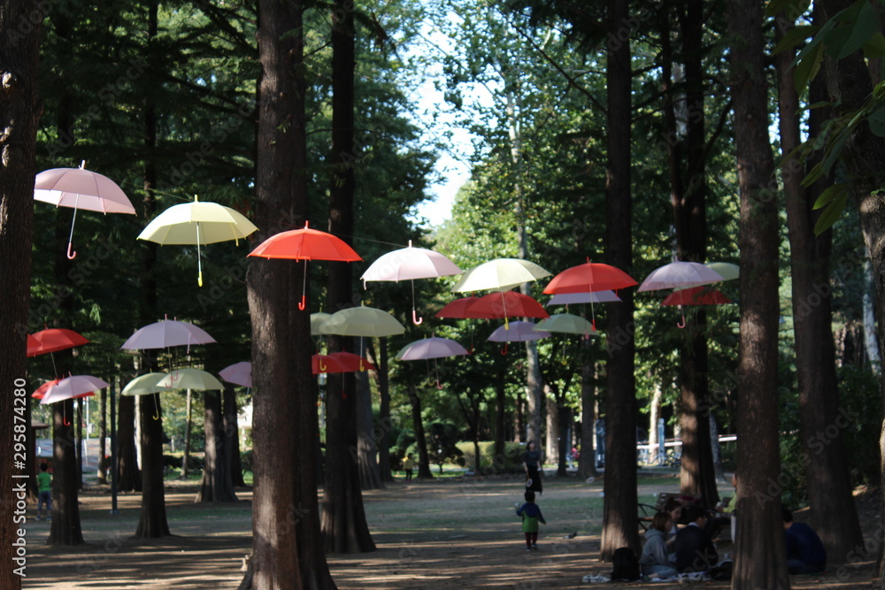 공원의 우산이 걸려 져 잇는 사진