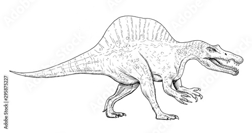 Drawing of dinosaur - hand sketch of spinosaurus, black and white illustration