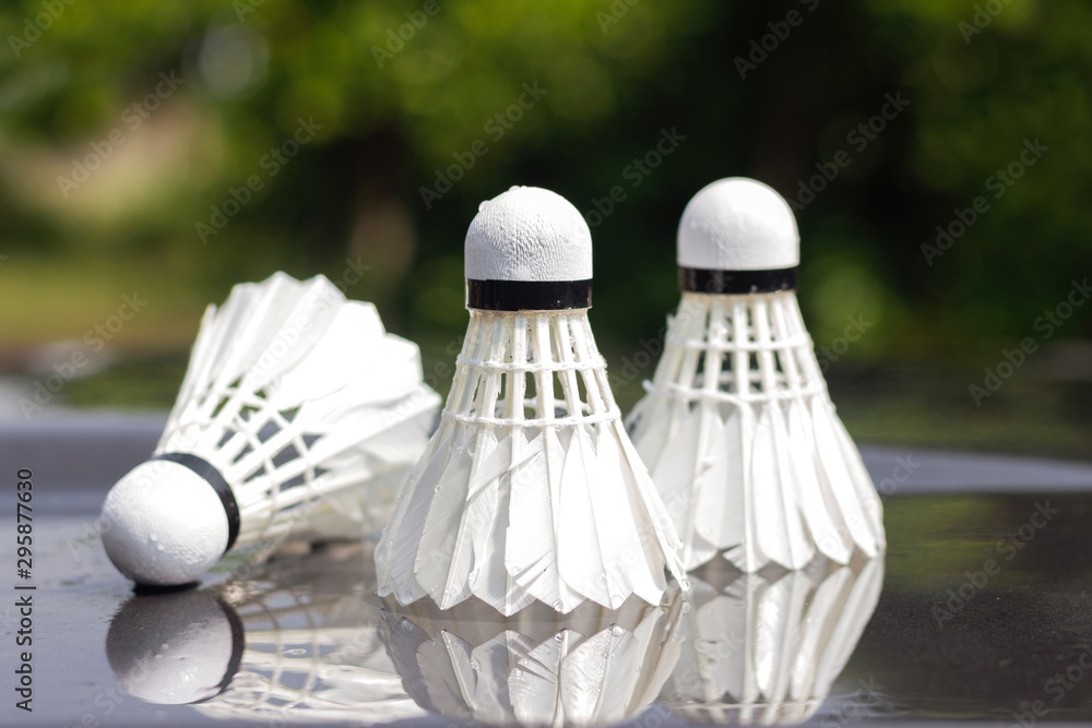 Badminton balls are sports equipment that people like to play for exercise. And play to be a winner in sporting events