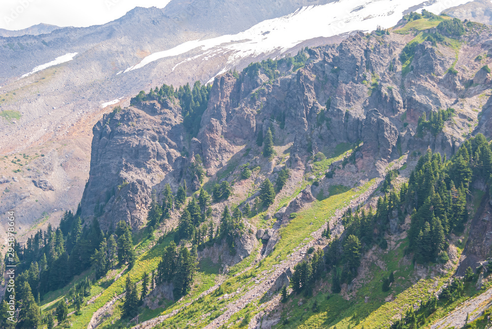 Fototapeta premium Yocum Ridge, west side of Mt. Hood.