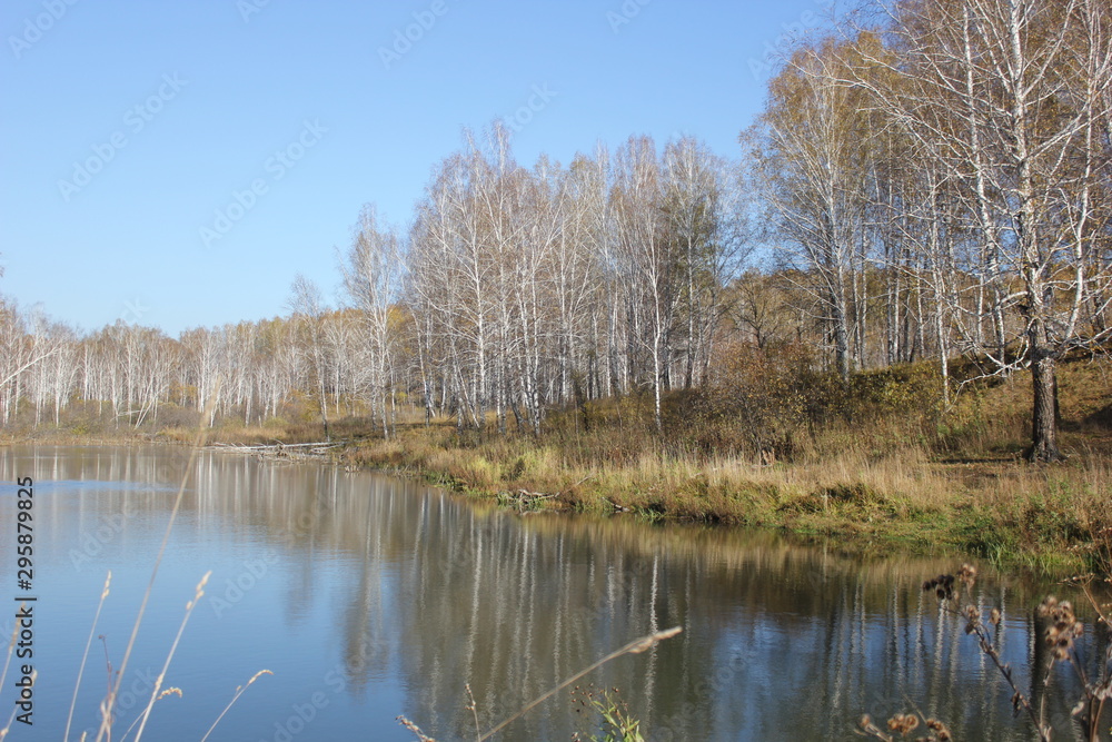 Nature Nature