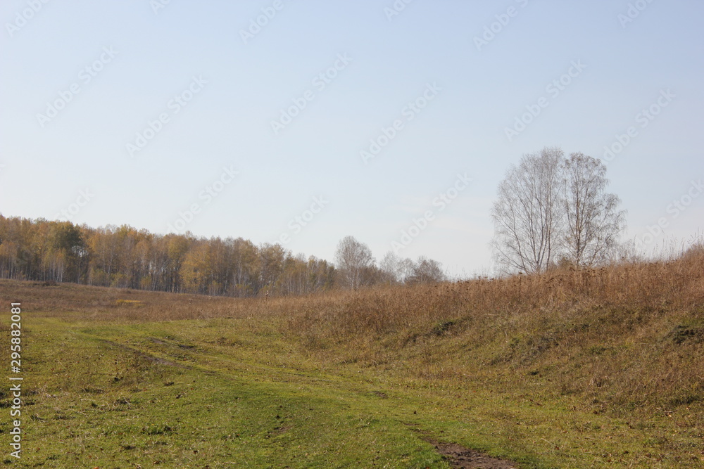 Nature Nature
