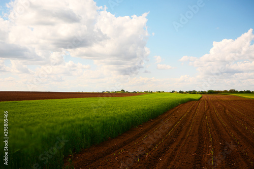 road in the field