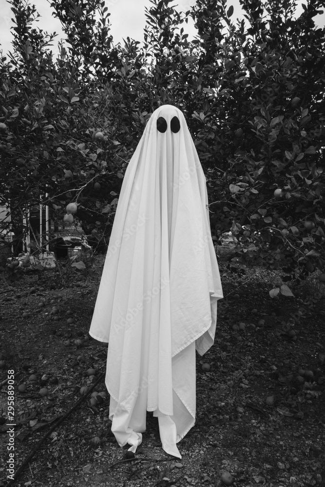 Ghost covered with a white ghost sheet on a forest. Halloween Concept Ghost covered with a white ghost sheet on a forest. Halloween Concept