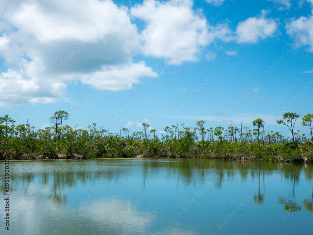 Panoramic landscape view of Blue hole lake, No Name Key, Florida