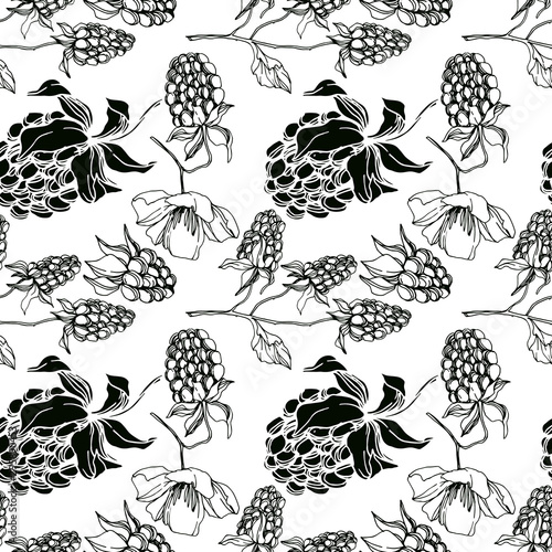 Vector Blackberry healthy food. Black and white engraved ink art. Seamless background pattern.