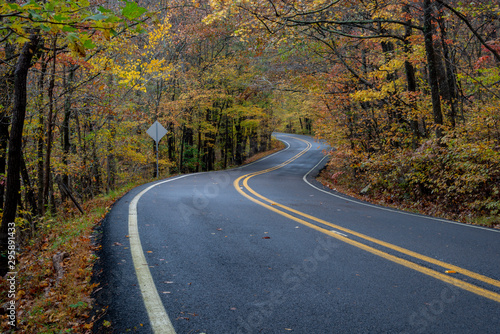 Curvy Road