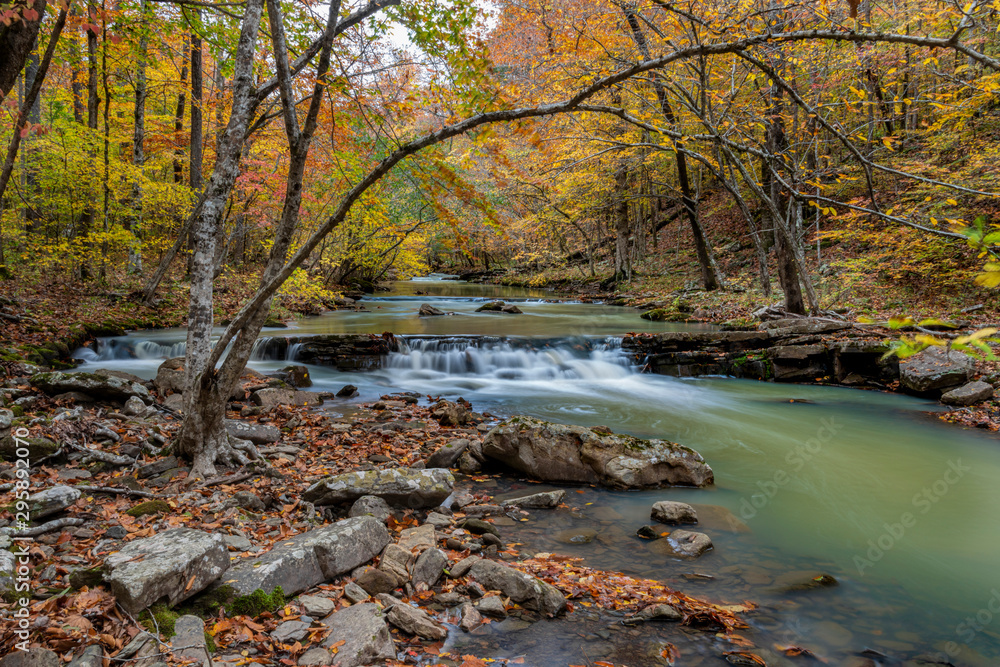 Ozark Forest Waterfall