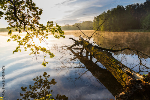 Pond near Trebon, South Bohemia, Czecg Republic photo