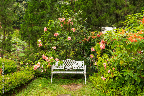 Retro metal bench in a garden