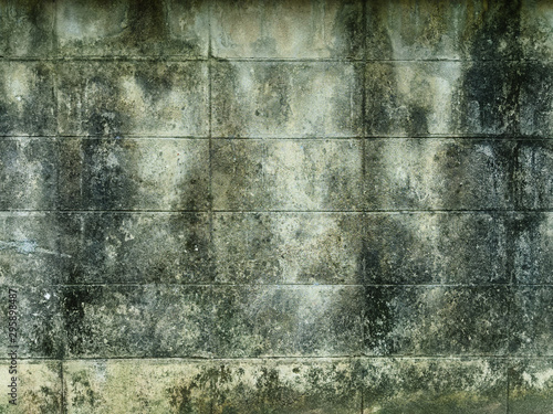 Texture background pattern old moldy wall