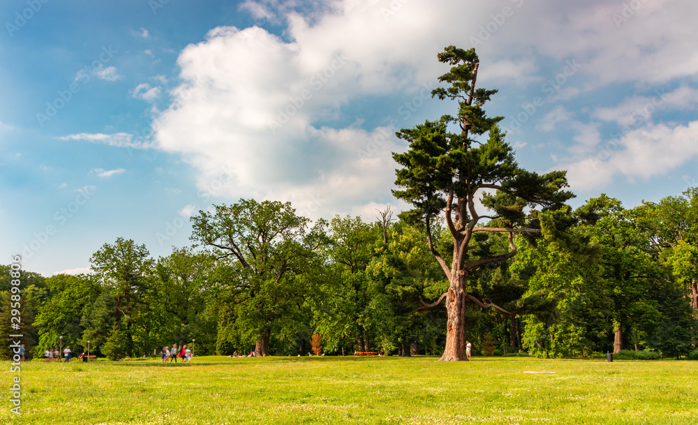 Fototapeta premium Castle in Moszna, southwestern Poland