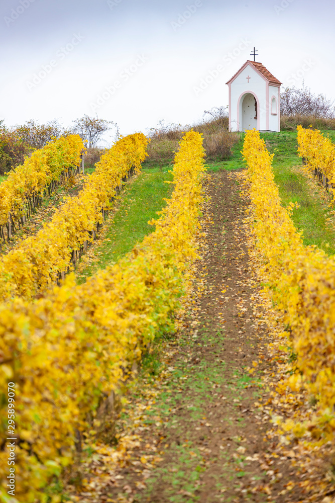 God's torture near Hnanice with autumnal vineyard, Southern Moravia, Czech Republic