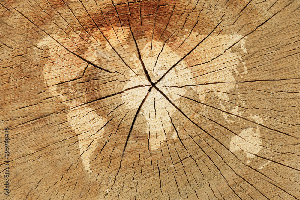 World map marked on a tree trunk