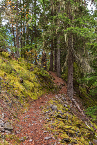 View at Mountain Trail in British Columbia  Canada. Mountains Background.