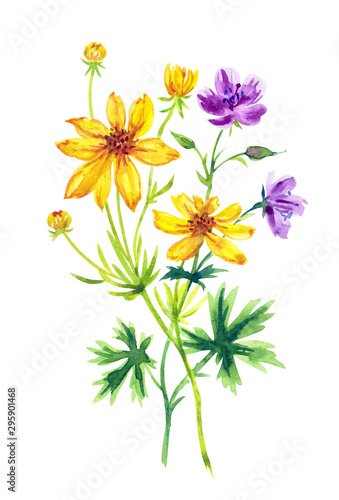 Bouquet of coreopsis and forest geranium, summer bouquet, watercolor painting on a white background, isolated.