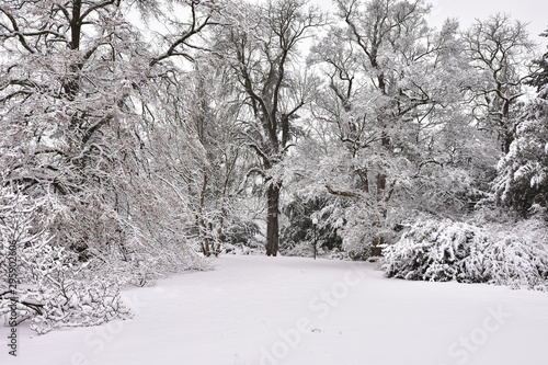Pragues gardens covered by snow