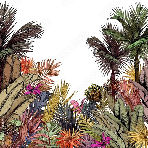 Multicolored tropical foliage and exotic flowers. Hand drawn vector illustration isolated on white background.