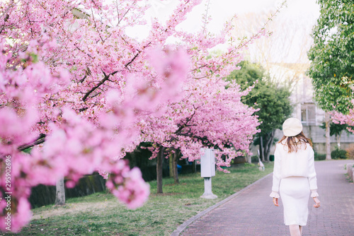 Photography Happy travel woman and smile with sakura cherry blossoms tree on vacation while