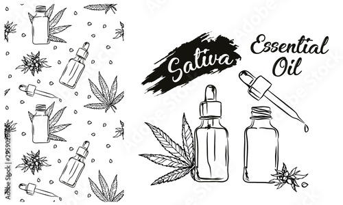 Cannabis sativa or cannabis indica plant. Marijuana leaves and seeds. Medical and cosmetic herbs. Botanical vector illustration.