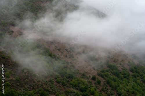 fog in the mountains