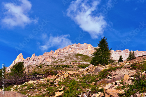 jumps towards the refuge path tower of Pisa latemar (predazzo pampeago) dolomites autonomous province of Bolzano Italy photo