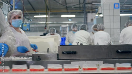 Food processing factory production line. Transportation of fish products carried out by female staff