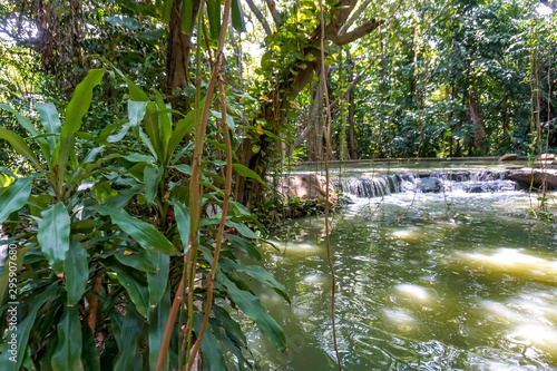 Small waterfall in the forest