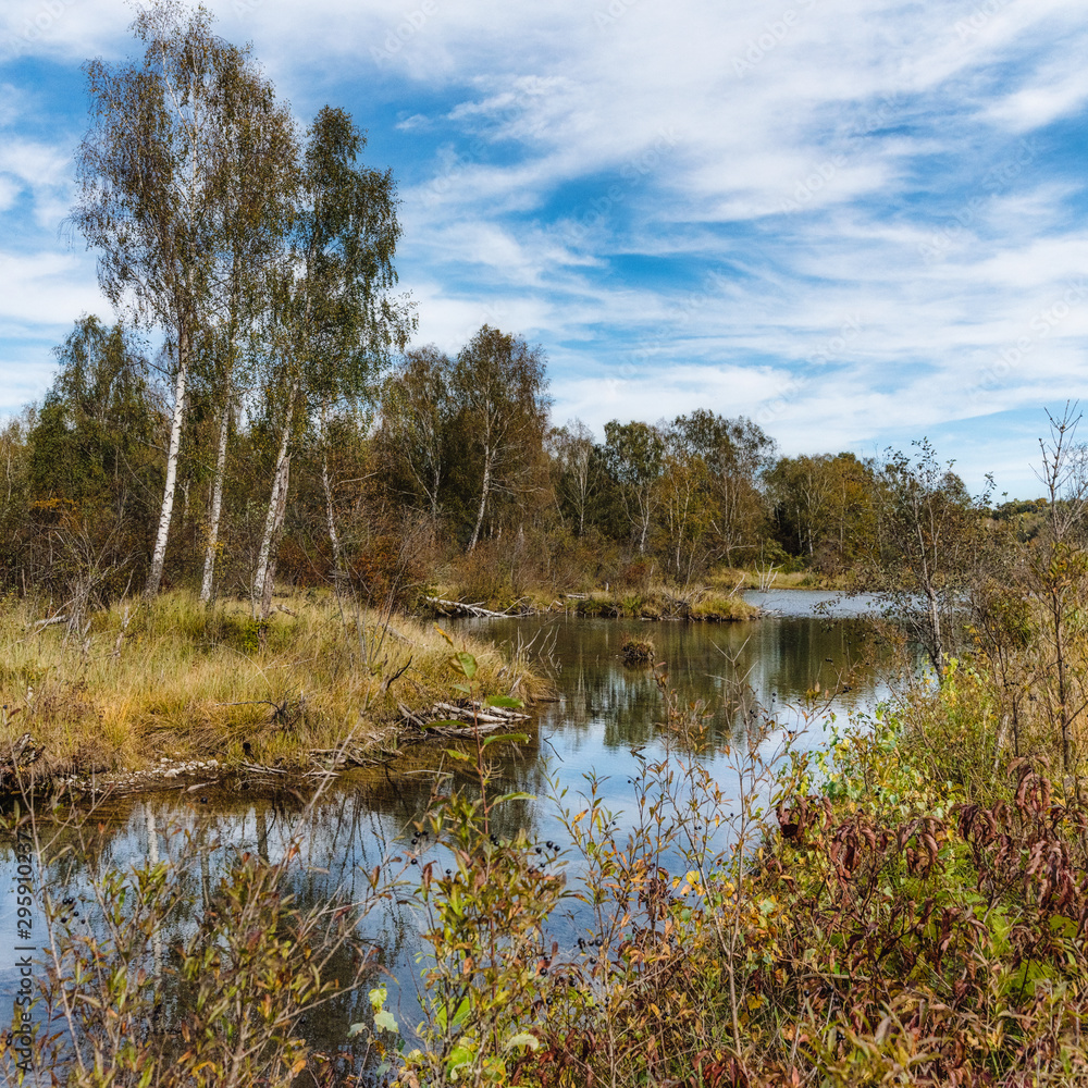 Herbstwald Herbstwald