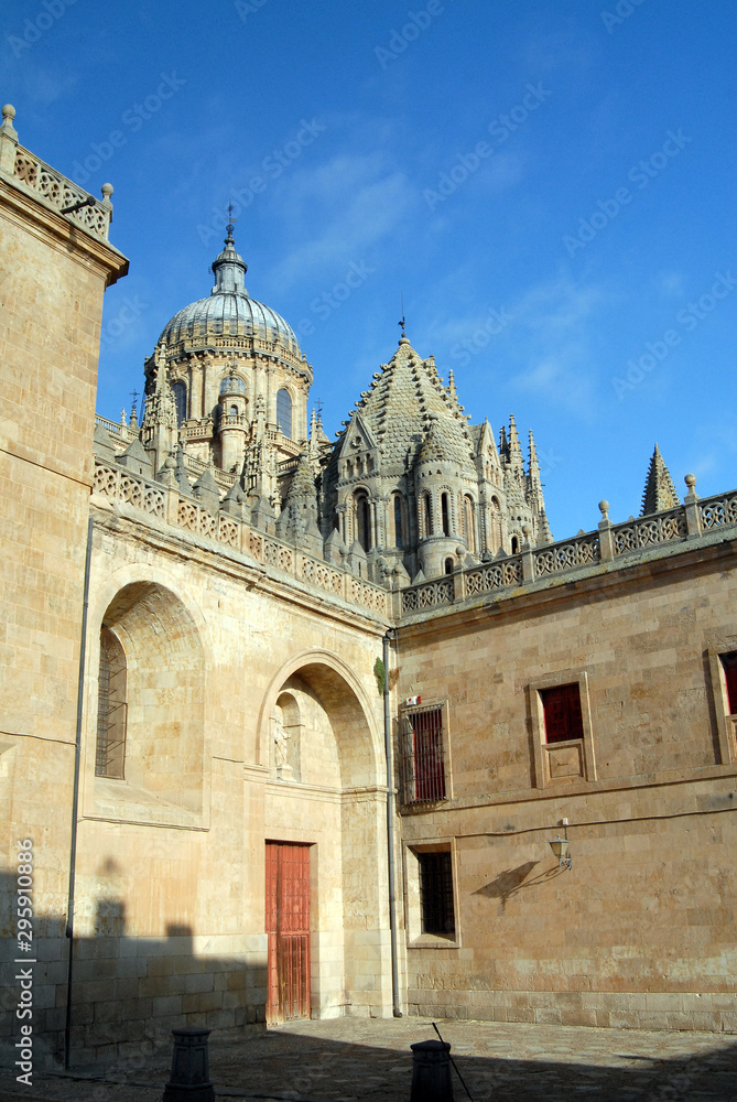 Views and places of Salamanca. Spain