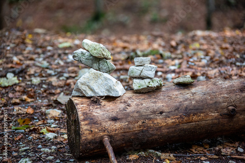 Steinmännchen im Wald photo