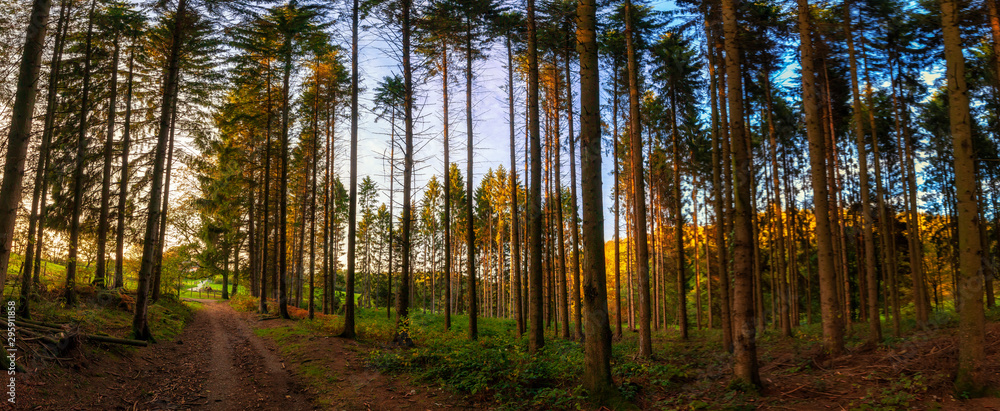 german autumn forest landscape marscheider bachtal in nrw german autumn forest landscape marscheider bachtal in nrw
