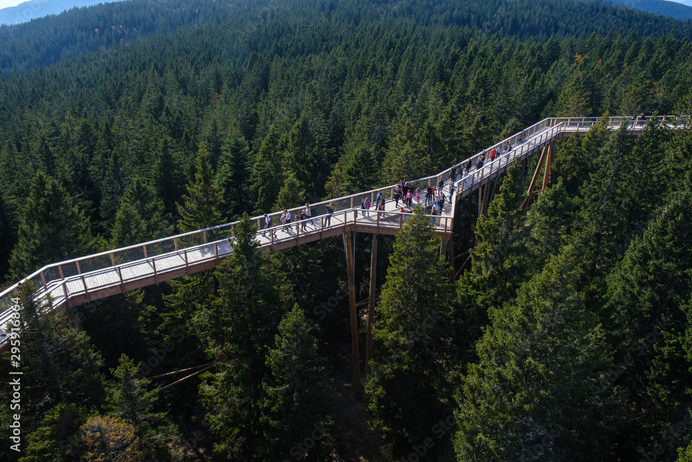 Tree canopy walk, treetop walkway, footbridge through the forest, adventure in nature Tree canopy walk, treetop walkway, footbridge through the forest, adventure in nature