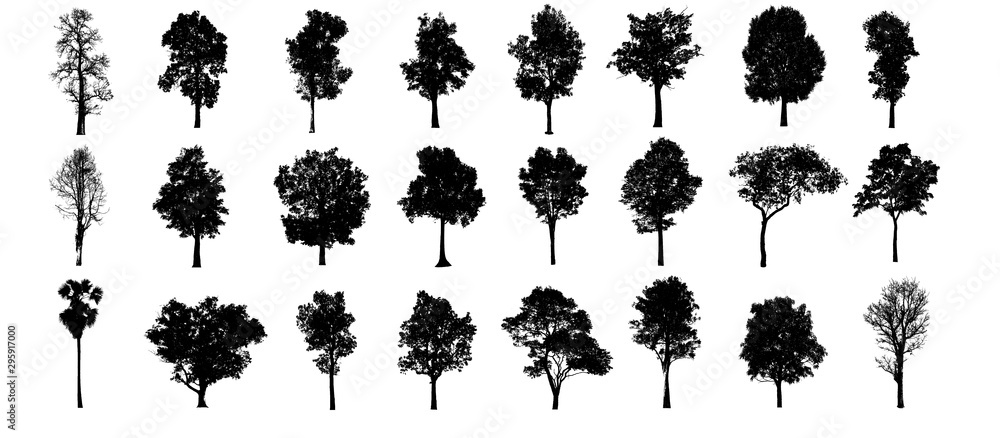 collections black tree isolated. siluate tree isolated on white background. - obrazy, fototapety, plakaty 