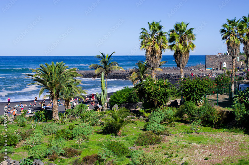 Fototapeta premium Puerto de la cruz, Tenerife, Spain