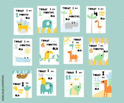Set of cute monthly cards for baby with jungle animals. Vector hand drawn illustration.