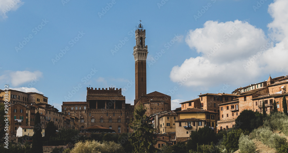 Landscape of Siena with Torre del Mangia 