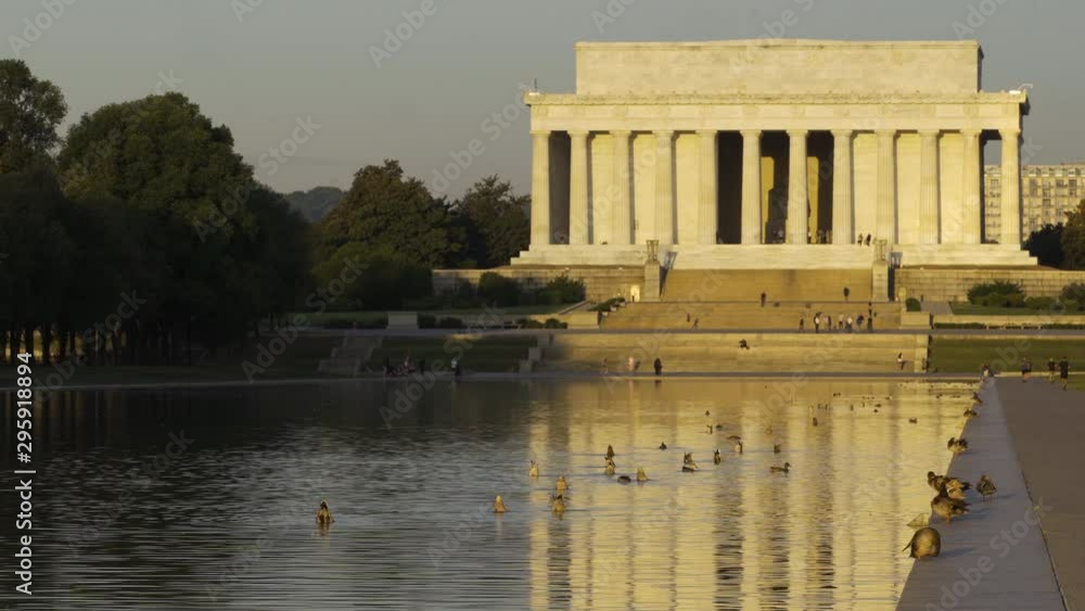 Ducks Swim in Front of the Lincoln Memorial in Washington, DC Ducks Swim in Front of the Lincoln Memorial in Washington, DC