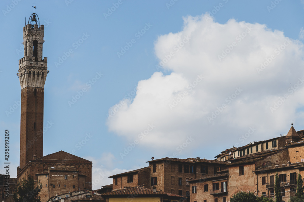 Landscape of Siena with Torre del Mangia 