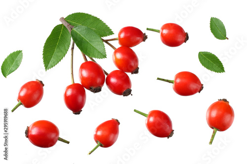 Canvas Print rosehip berries with green leaves isolated on white background