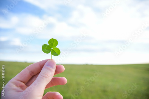 Green clover leaf in hand on blue sky and green grass background