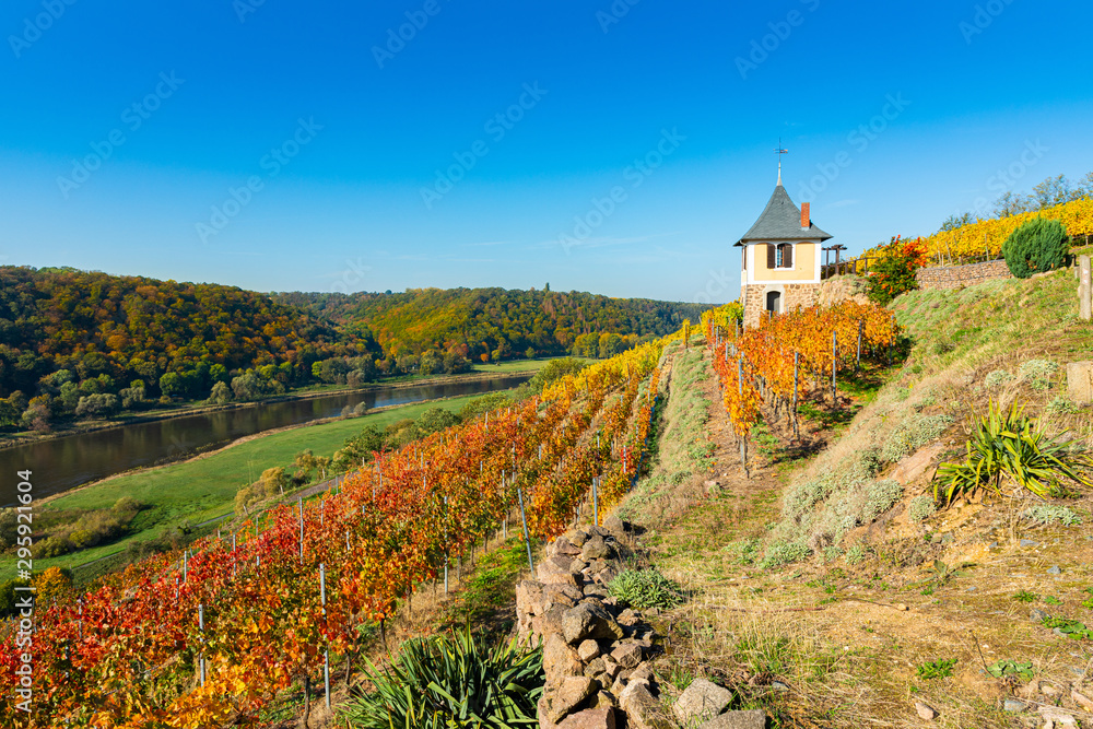 Weinberg im sonnigen Herbst mit bunt gefärbten Blättern und einem Weinbergshaus